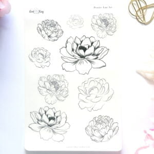Peonies Line Art Lexikay.jpg