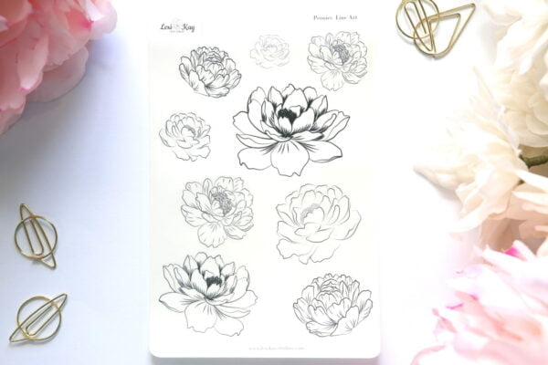 Peonies-line-art-lexikay.jpg Peonies Line Art Lexikay.jpg