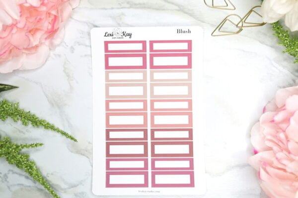 Img 8328 Lexikay.jpg