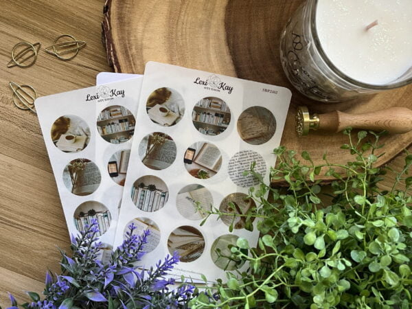 IMG_6423-scaled-1.jpg Img 6423 Scaled 1.jpg