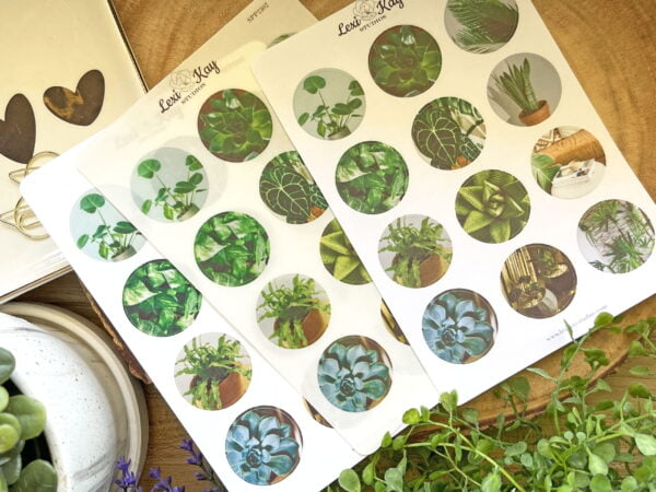 Img 6443 1 Scaled 1.jpg