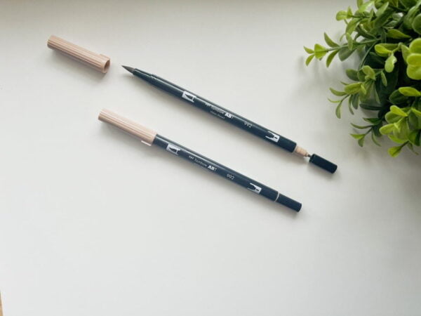 Img 5305 Custom Rotated 1.jpg