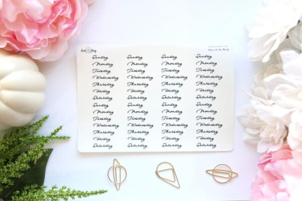 IMG_8986-lexikay.jpg Img 8986 Lexikay.jpg