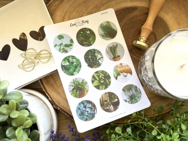 Img 6446 1 Scaled 1.jpg