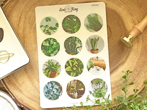 Img 6445 1 Scaled 1.jpg