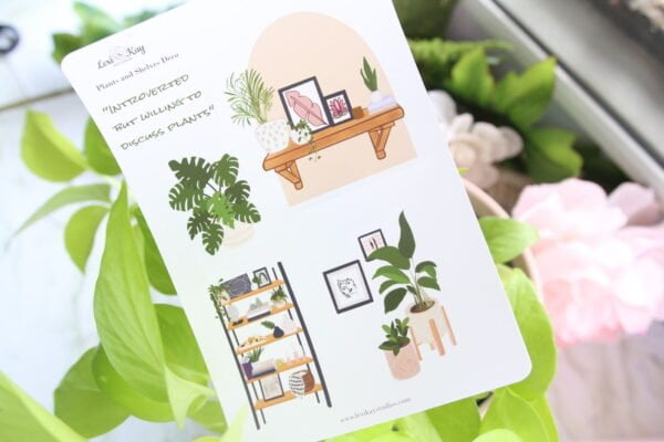 IMG_9918-lexikay.jpg Img 9918 Lexikay.jpg