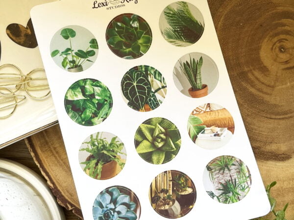 Img 6444 1 Scaled 1.jpg