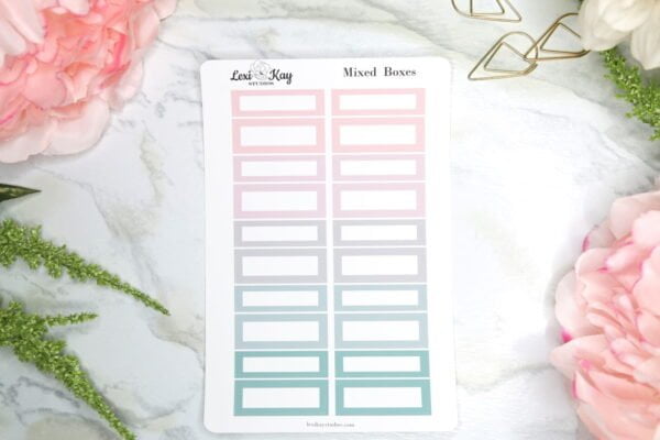 Img 8327 Lexikay.jpg