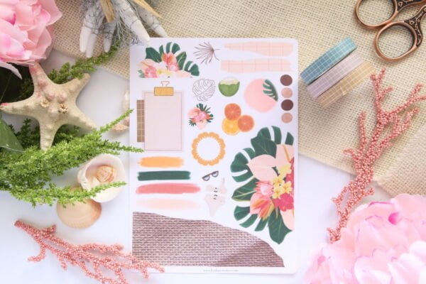 Img 0144 Lexikay.jpg